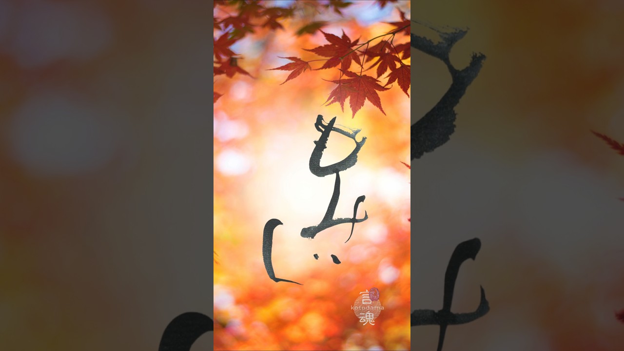 もみじ｜Japanese Calligraphy #書道 #shodo #calligraphyart #japaneseart #japaneseculture #kotodama