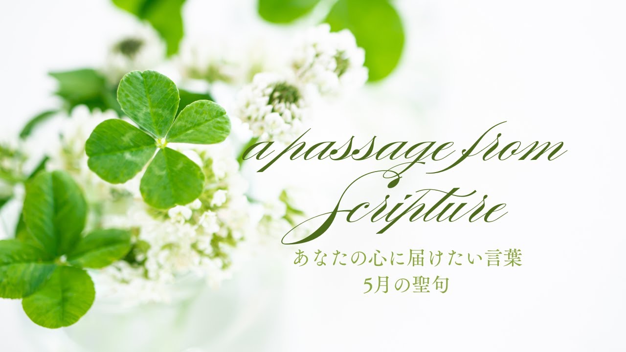癒しの聖句|マタイによる福音書5章13節 #healing#innerpeace #浄化#書道