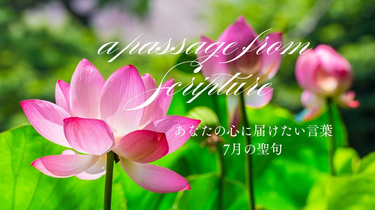 癒しの聖句｜マタイによる福音書　4章4節　#healing#innerpeace #浄化#書道
