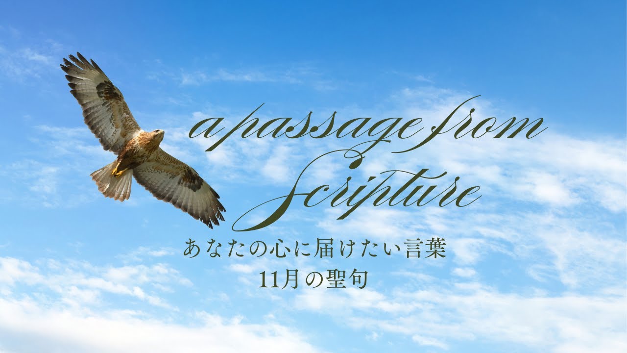 癒しの聖句|イザヤ書40章31節 #calligraphy #bible #profound quote