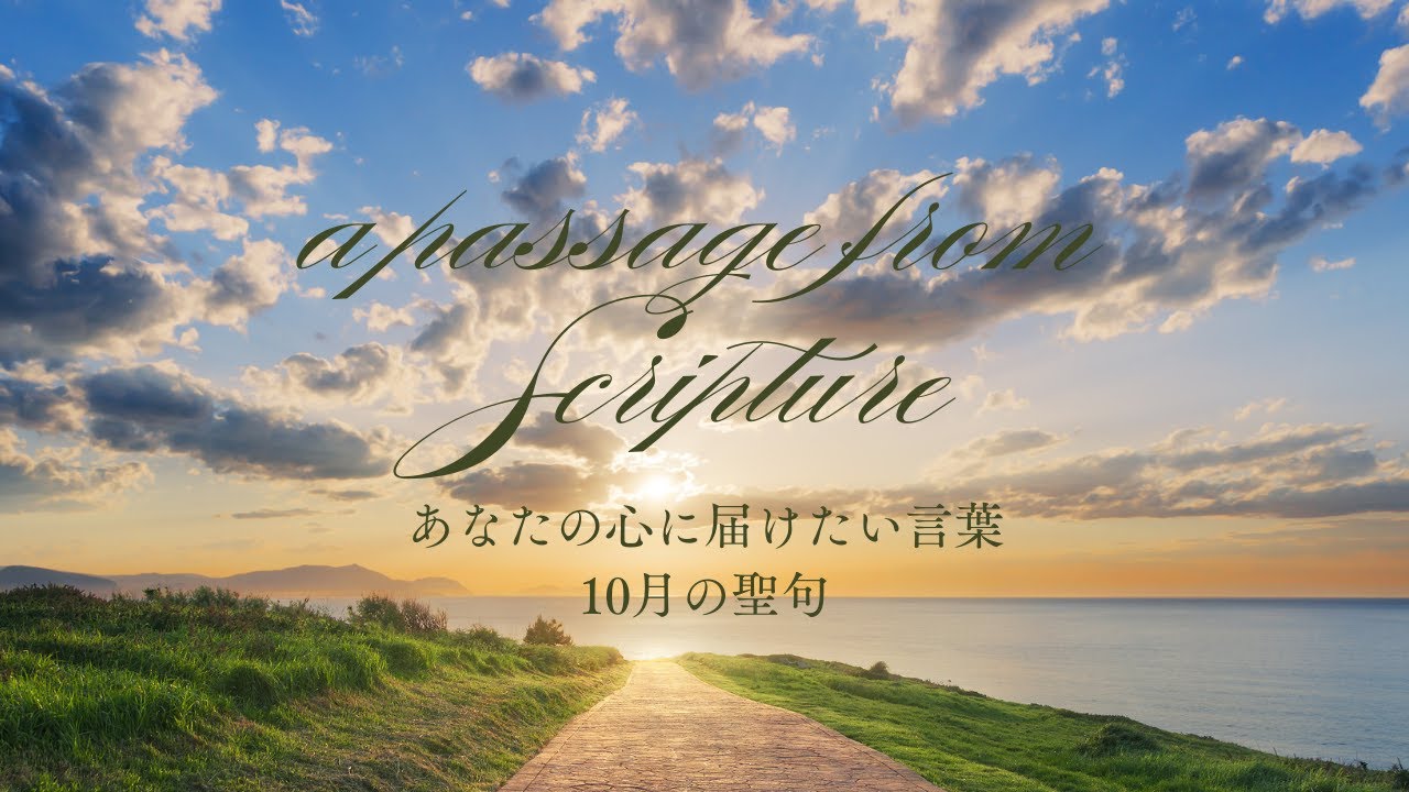 癒しの聖句|詩篇86章11節 #healing#innerpeace #浄化#書道