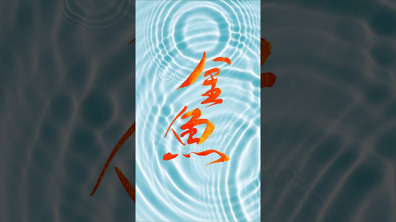心に広がる夏の涼 Japanese Calligraphy “goldfish”「金魚」#書道 #kanji #shorts #書道アート