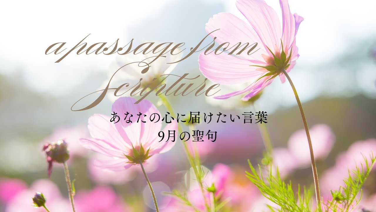癒しの聖句 | ヨハネの手紙第一 4章16節 #healing#innerpeace #浄化#書道