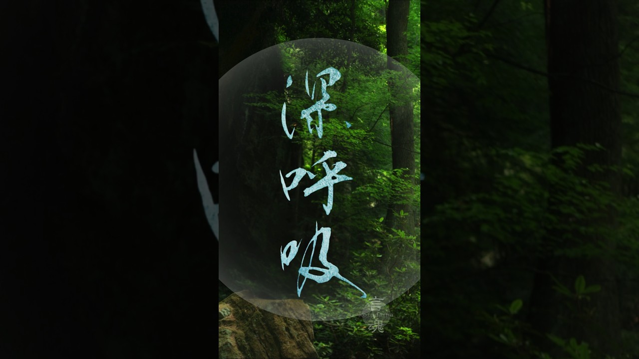 Japanese Calligraphy「深呼吸」自然へと還る、心を整える時間  Deep Breath | Forest Calm and Healing #書道 #癒し