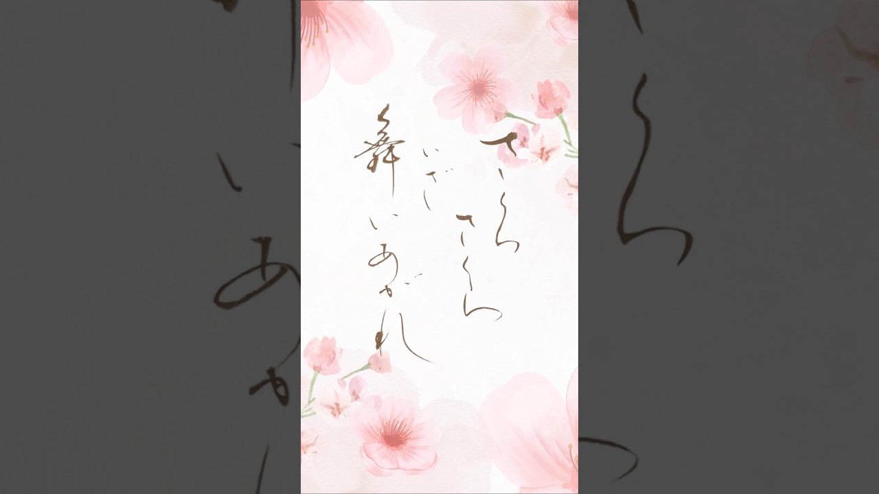 「さくらさくら いざ舞いあがれ」心に残った一節を書に 森山直太朗『さくら』より#書道 #japanesecalligraphy