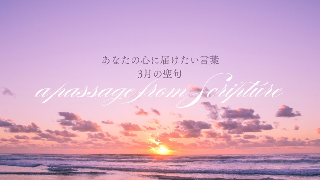 癒しの聖句｜哀歌3章40節　#healing#innerpeace #浄化#書道
