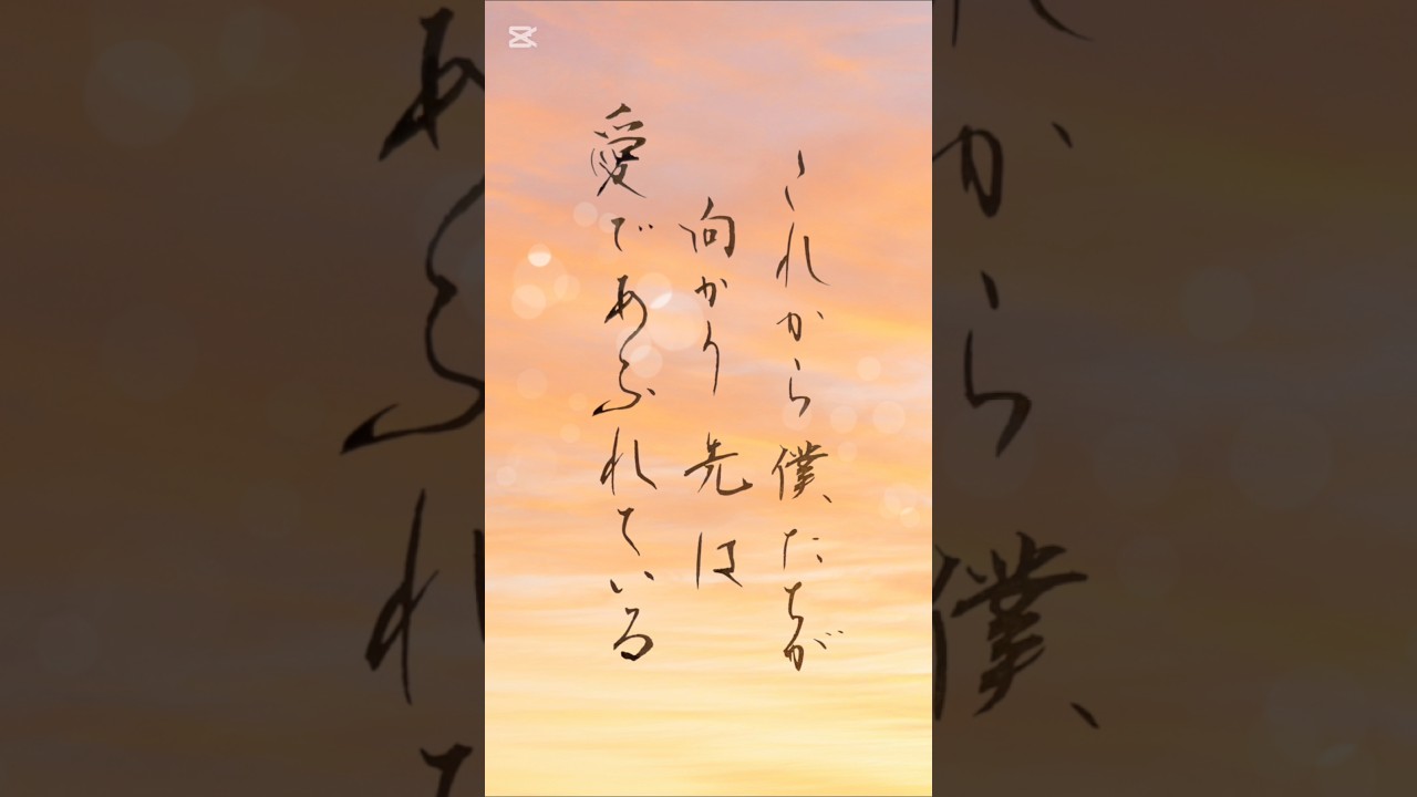 書いてみた 心に響く歌詞「これから僕たちが向かう先は、愛であふれている」 大橋トリオ『ずっとずっとずっと』#書道#japanesecalligraphy