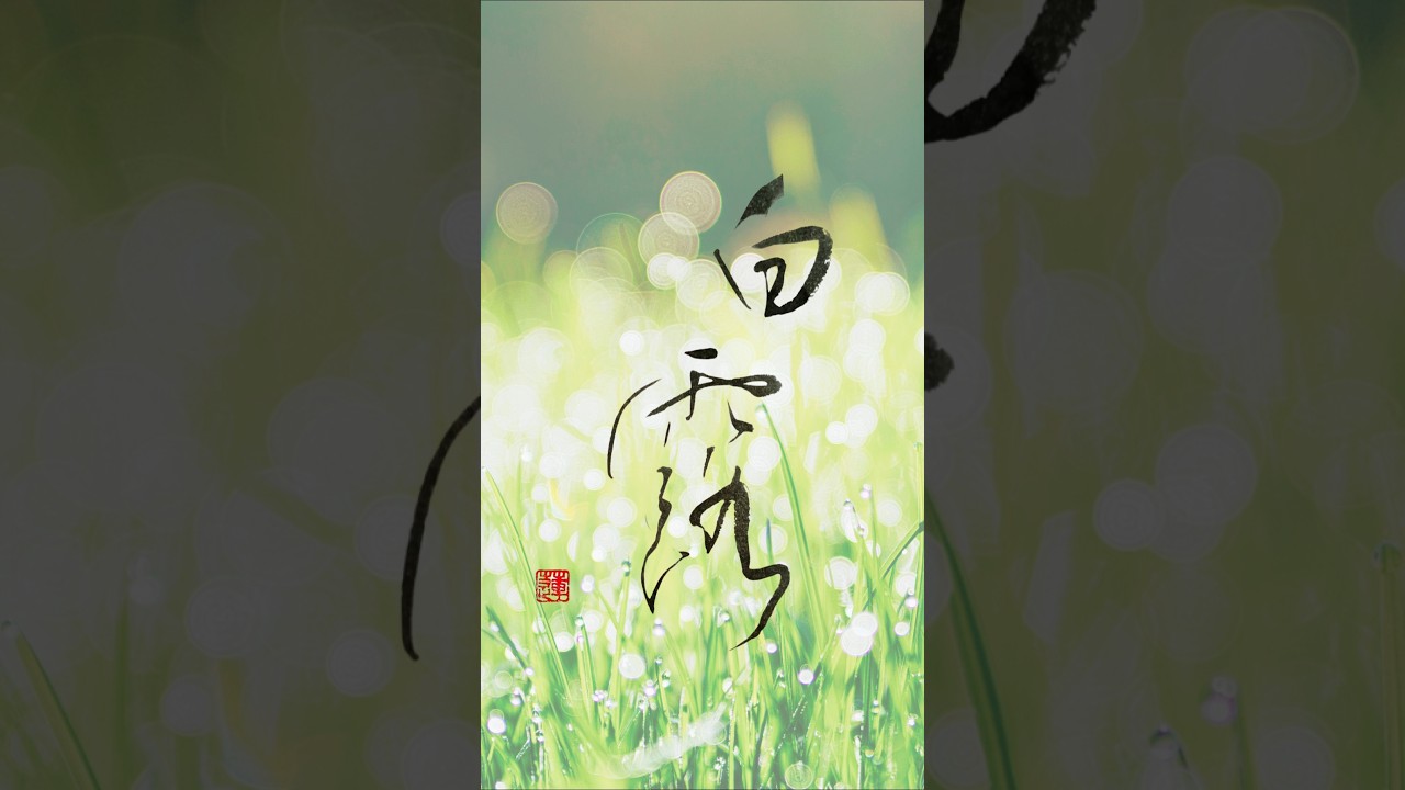 白露|今日は二十四節気「白露」しずかな秋の気配 #書道 #heartfulness #zenart #書道アート #shorts