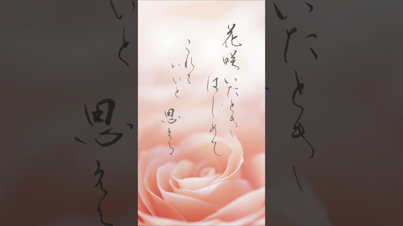 「花咲いたとき、はじめてこれでいいと思える」心に残った一節を書に tuki.『コトノハ』より #書道 #japanesecalligraphy