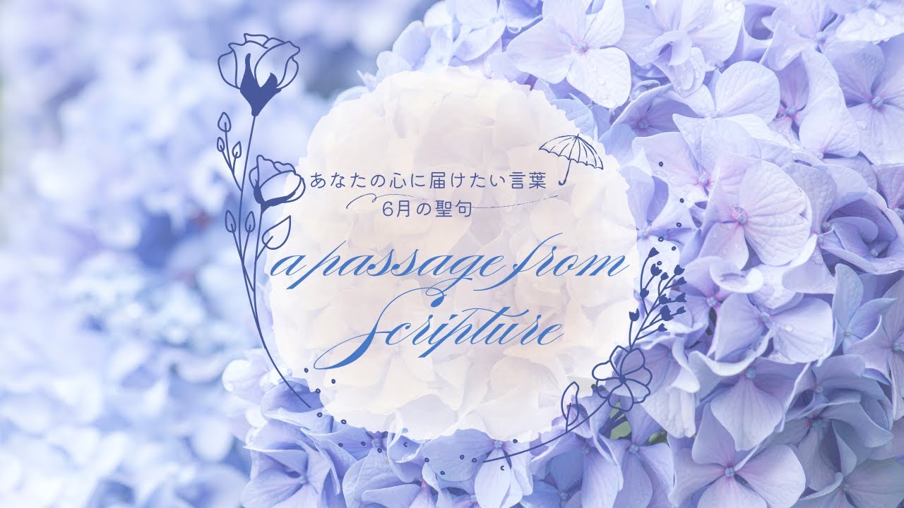 癒しの聖句|箴言17章17節 #healing#innerpeace #浄化#書道