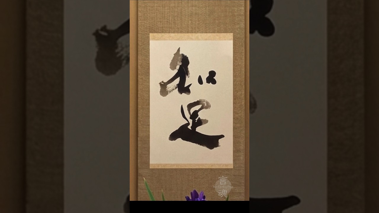 Japanese Calligraphy 知足|いまここにあるしあわせに気づくひととき #書道 #zen #癒し