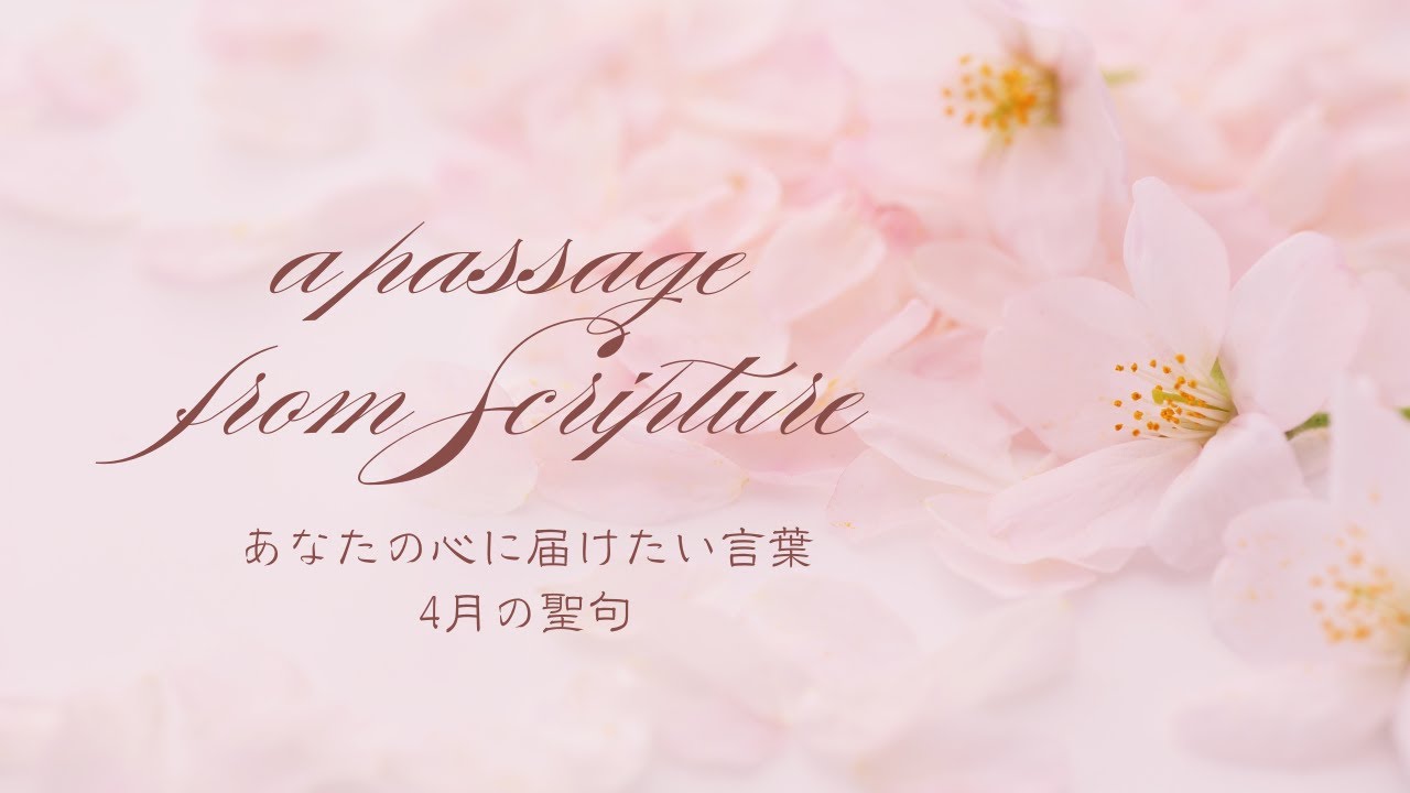 癒しの聖句｜ヨシュア記1章9節　#healing#innerpeace #浄化#書道