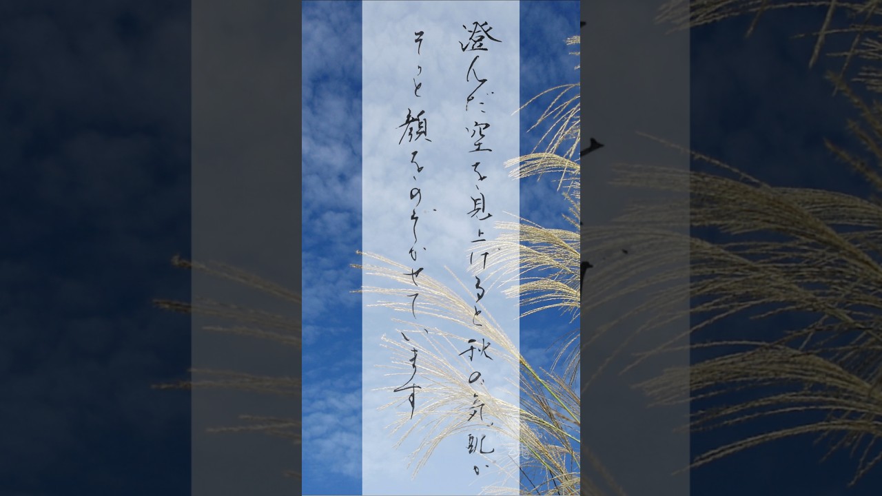Sometimes, All It Takes Is Looking Up to Feel the Season Change 静かに訪れる秋